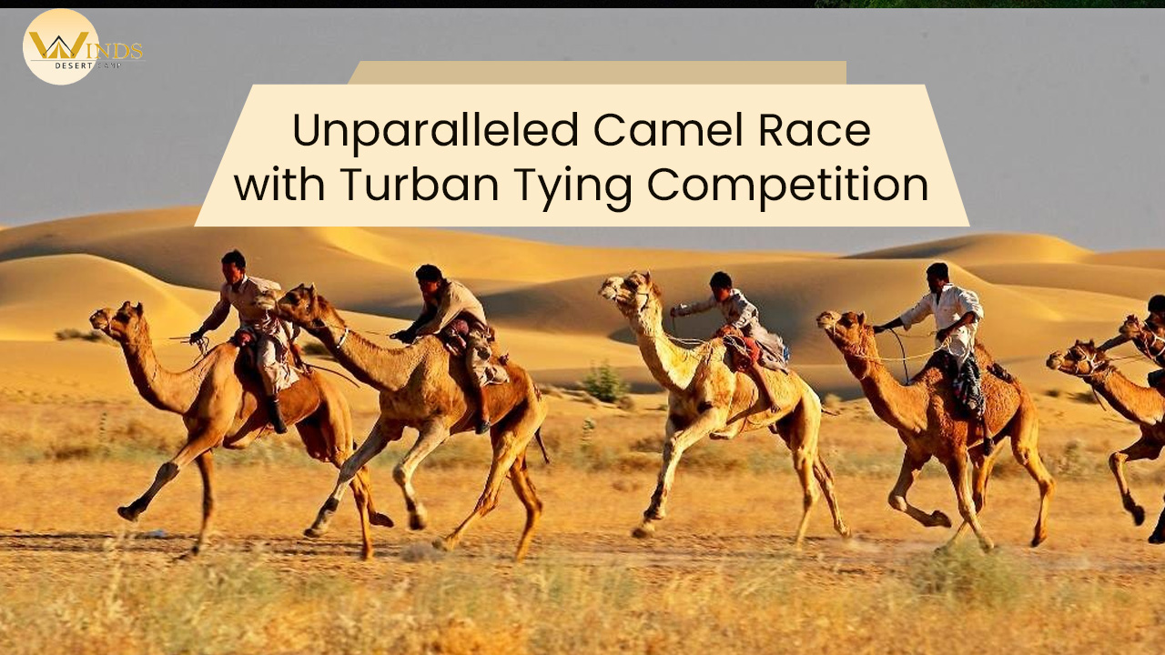Unparalleled Camel Race with Turban Tying Competition